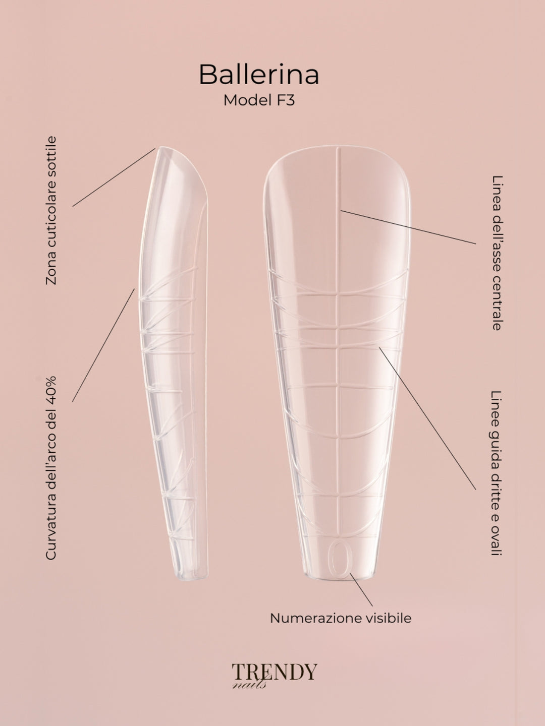 DUAL FORM MODEL F3 BALLERINA 140 PZ