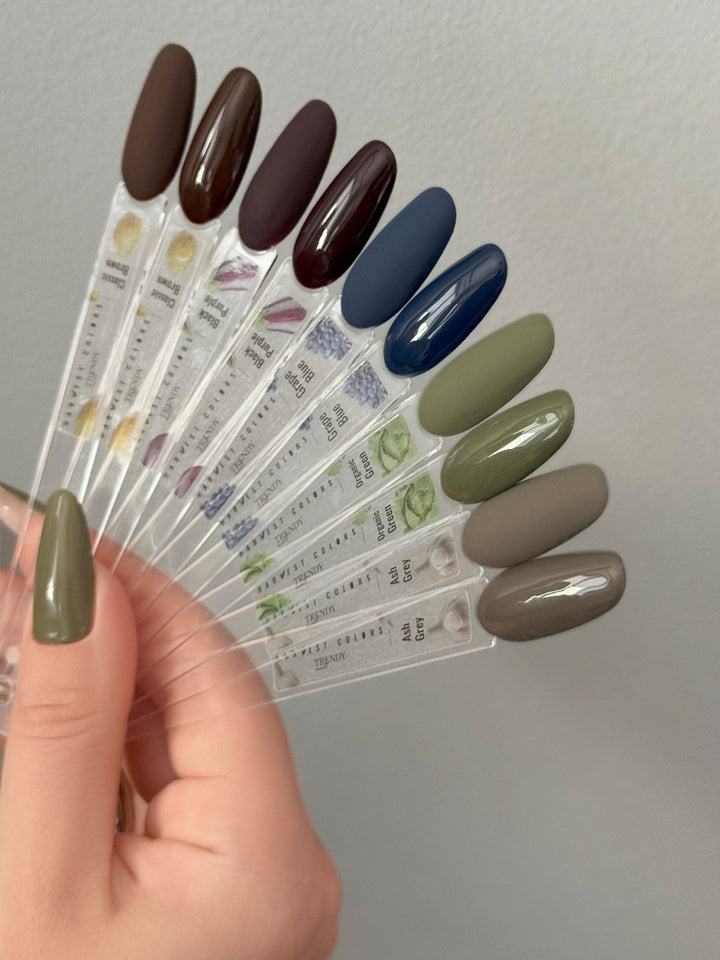 ASH GREY GEL POLISH TPO & HEMA FREE