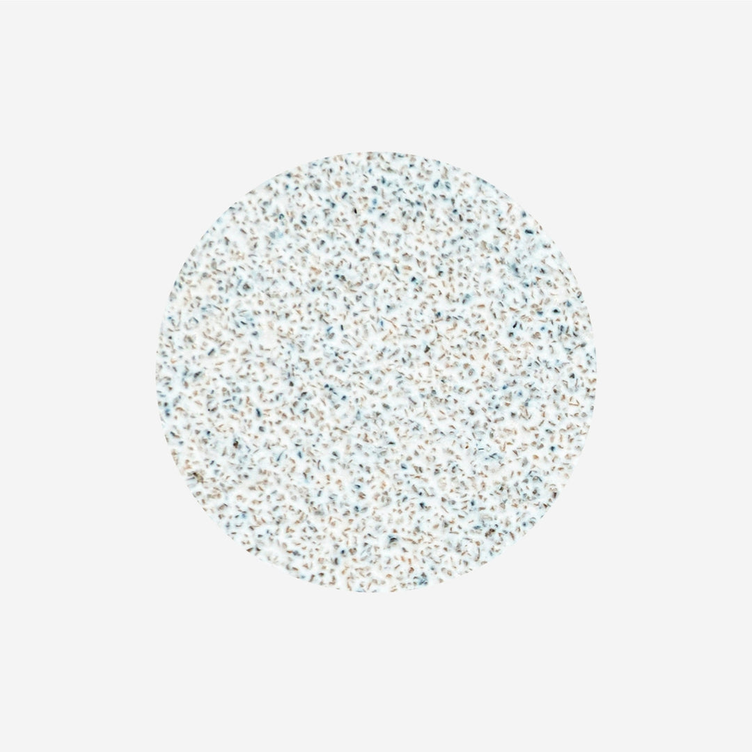 PODODISC STALEKS REPLACEMENT ABRASIVE DISCS XS 10 MM PDF-10