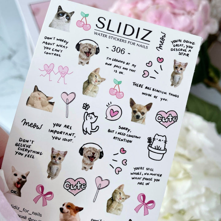 SLIDIZ WATER DECAL N°306