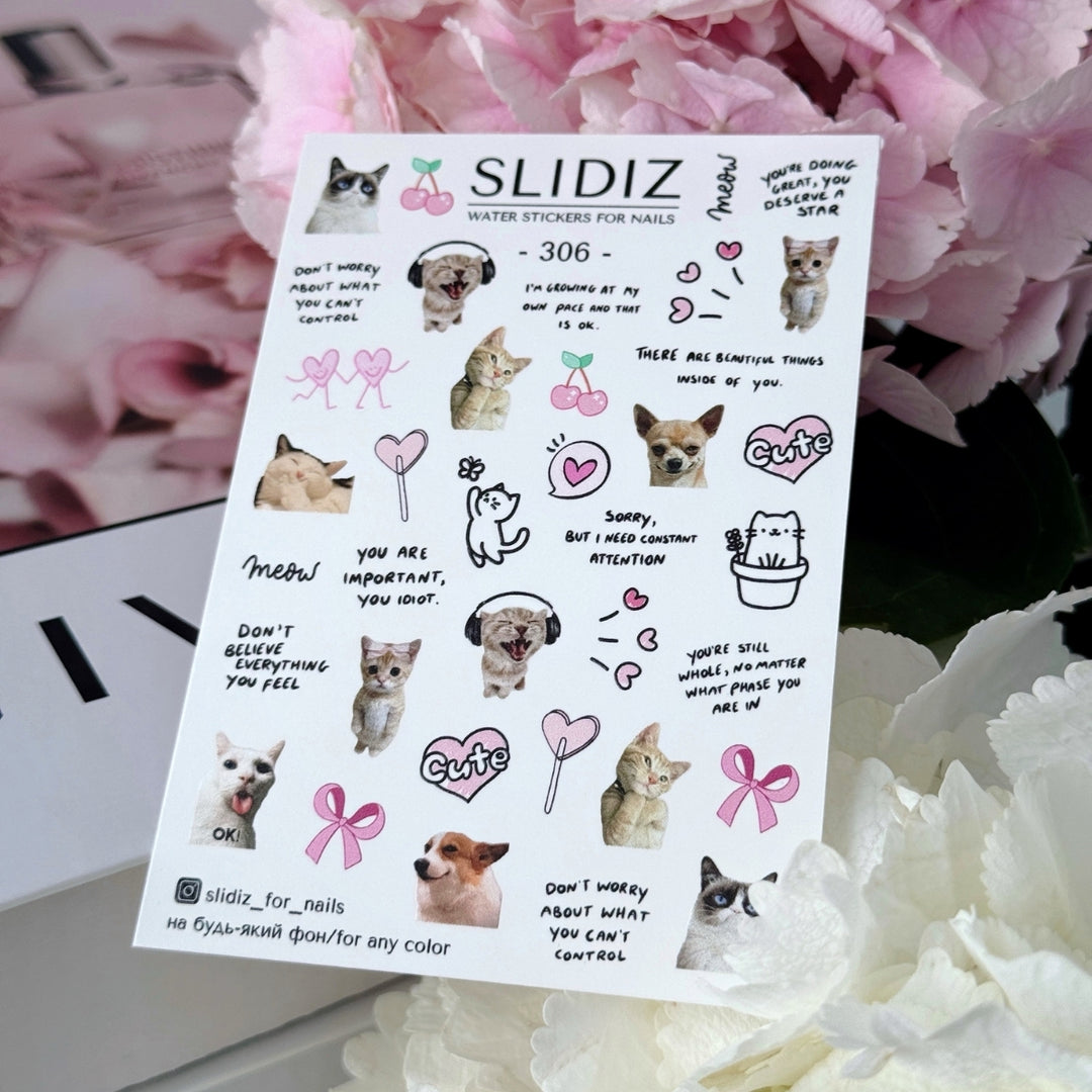 SLIDIZ WATER DECAL N°306