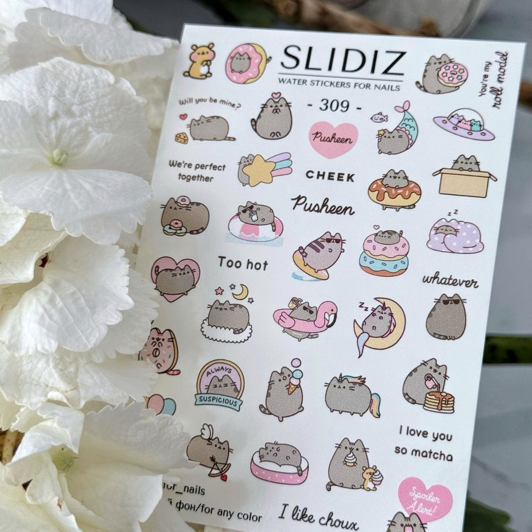 SLIDIZ WATER DECAL N°309