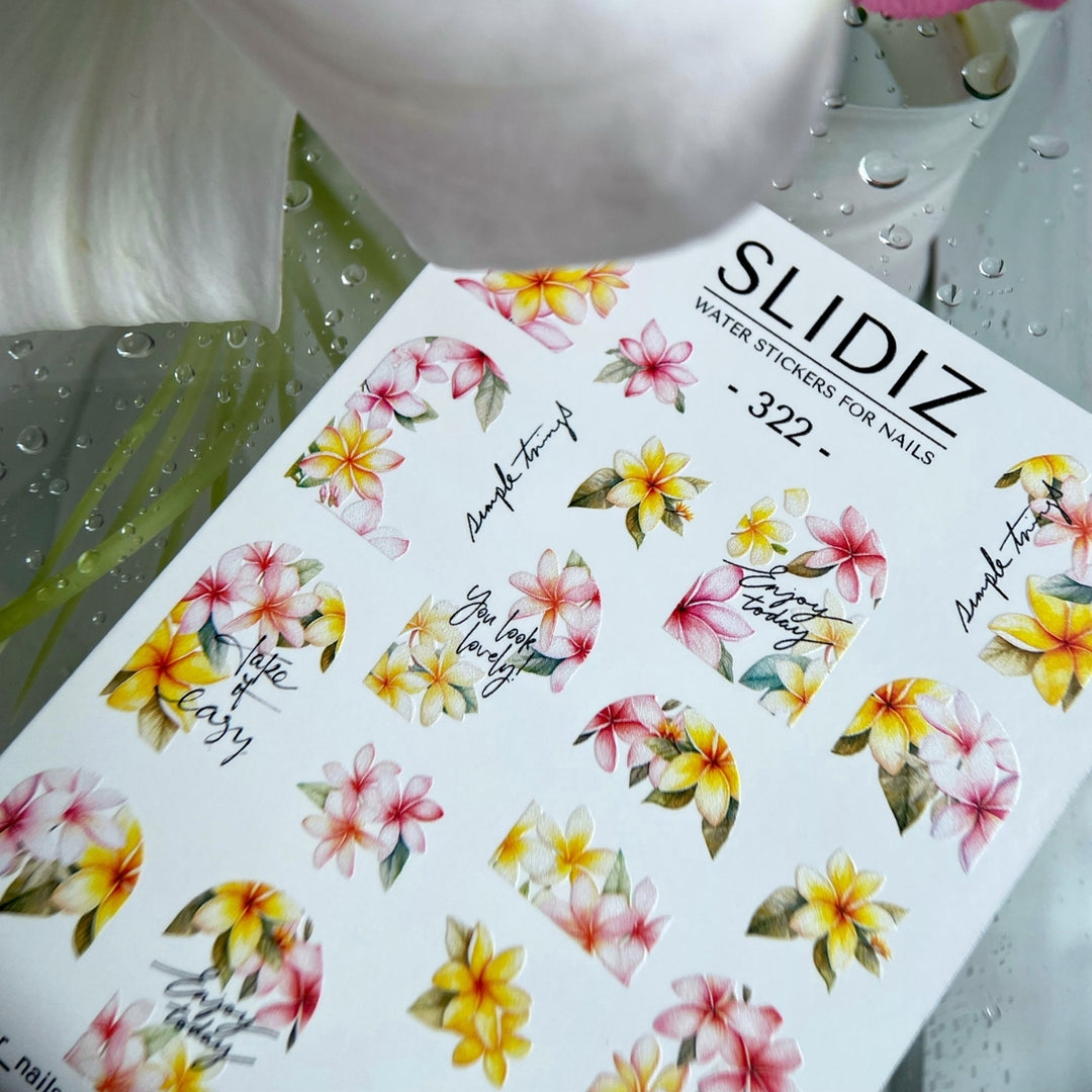 SLIDIZ WATER DECAL N°322