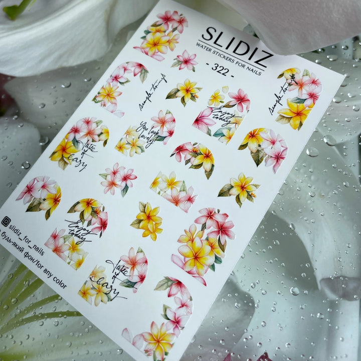 SLIDIZ WATER DECAL N°322