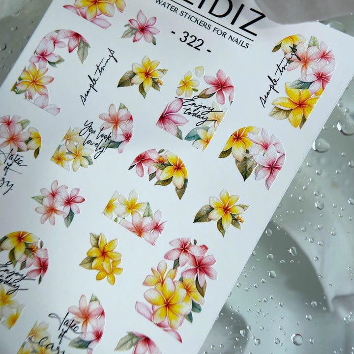 SLIDIZ WATER DECAL N°322