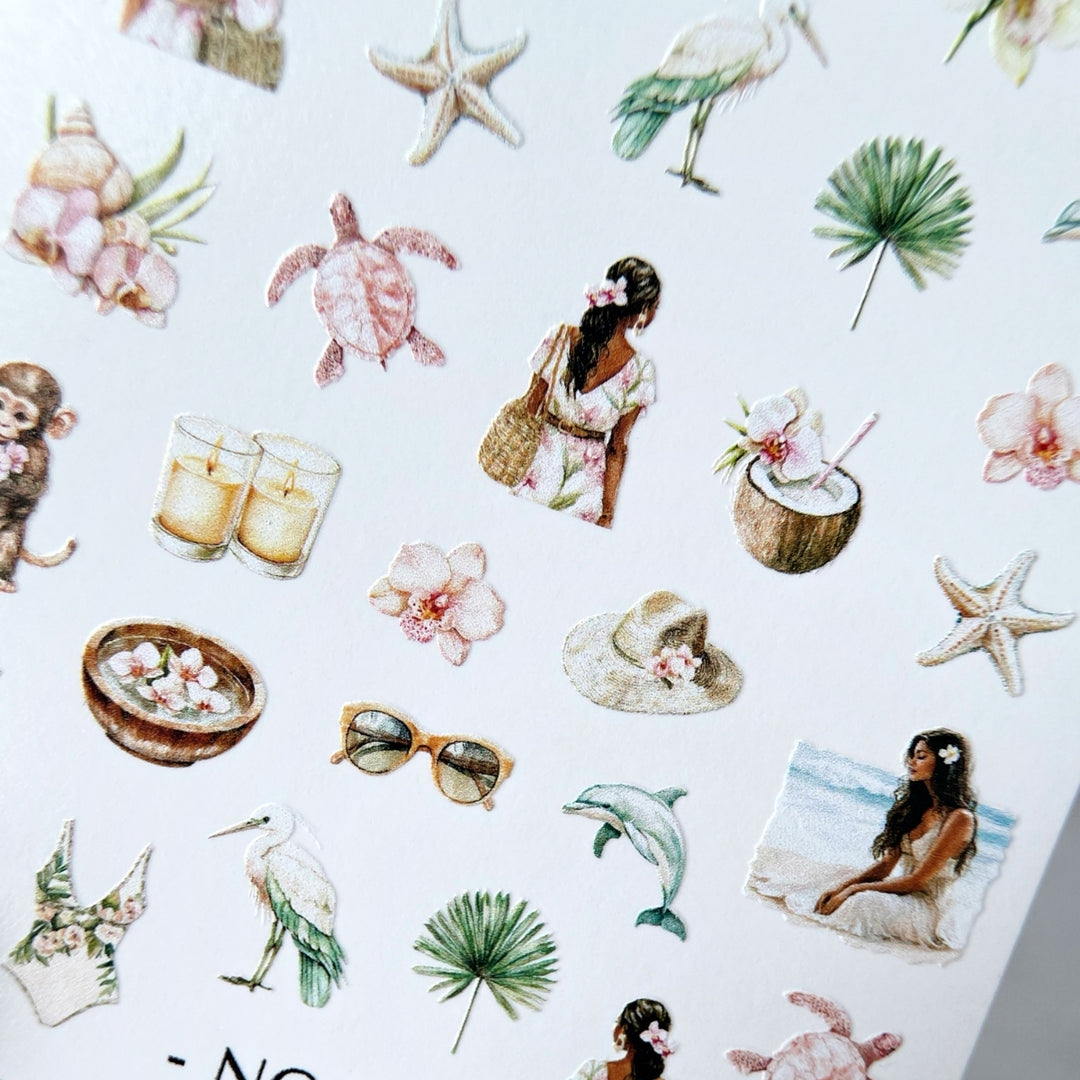 SLIDIZ WATER DECAL NC-002