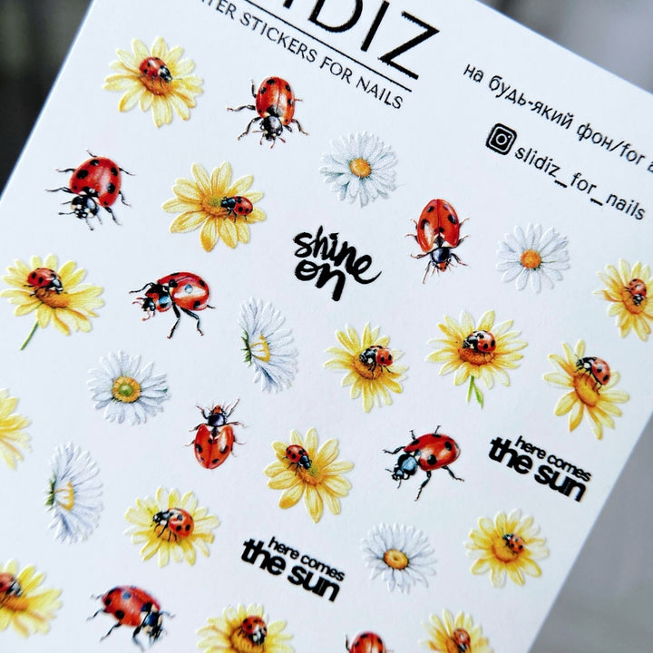 SLIDIZ WATER DECAL NC-005