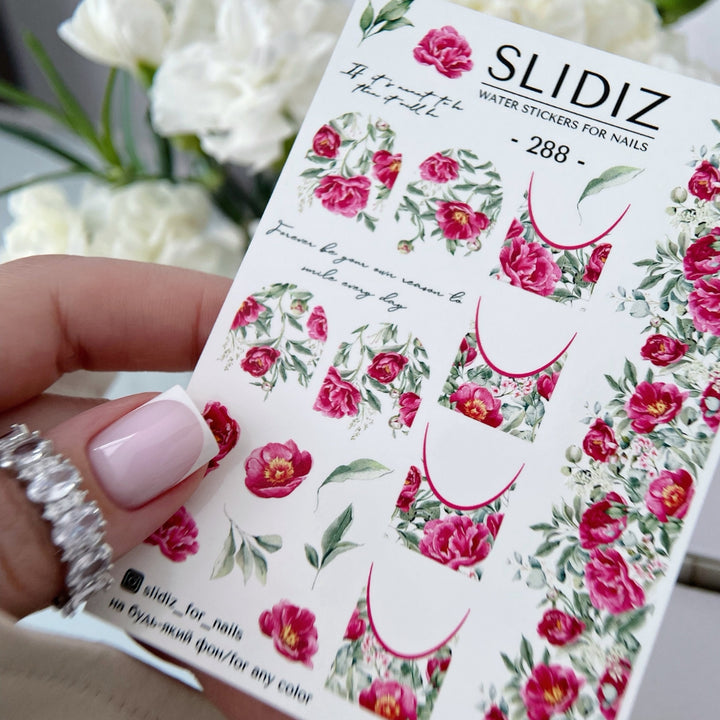 SLIDIZ WATER DECAL N°288