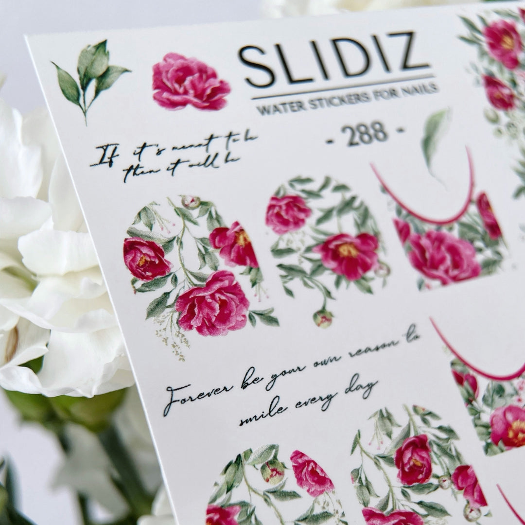 SLIDIZ WATER DECAL N°288