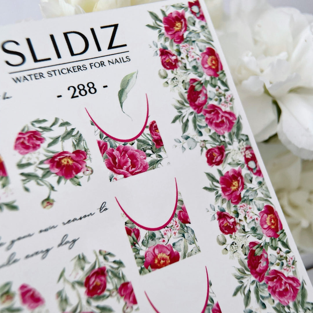 SLIDIZ WATER DECAL N°288