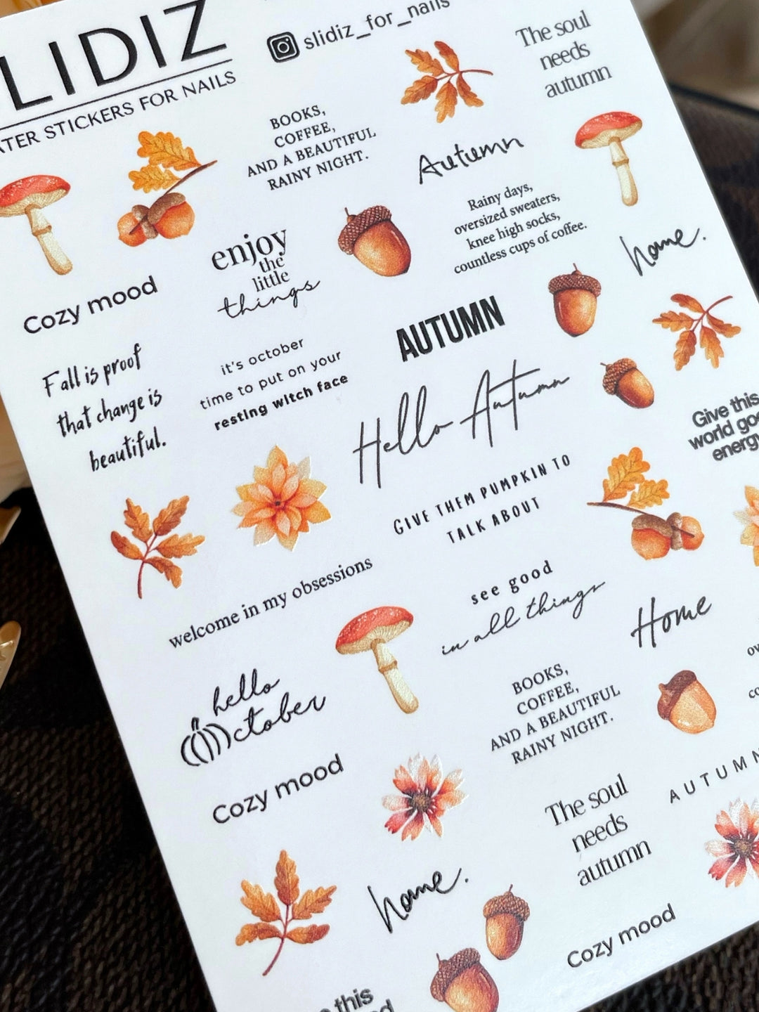 SLIDIZ WATER DECAL N°330