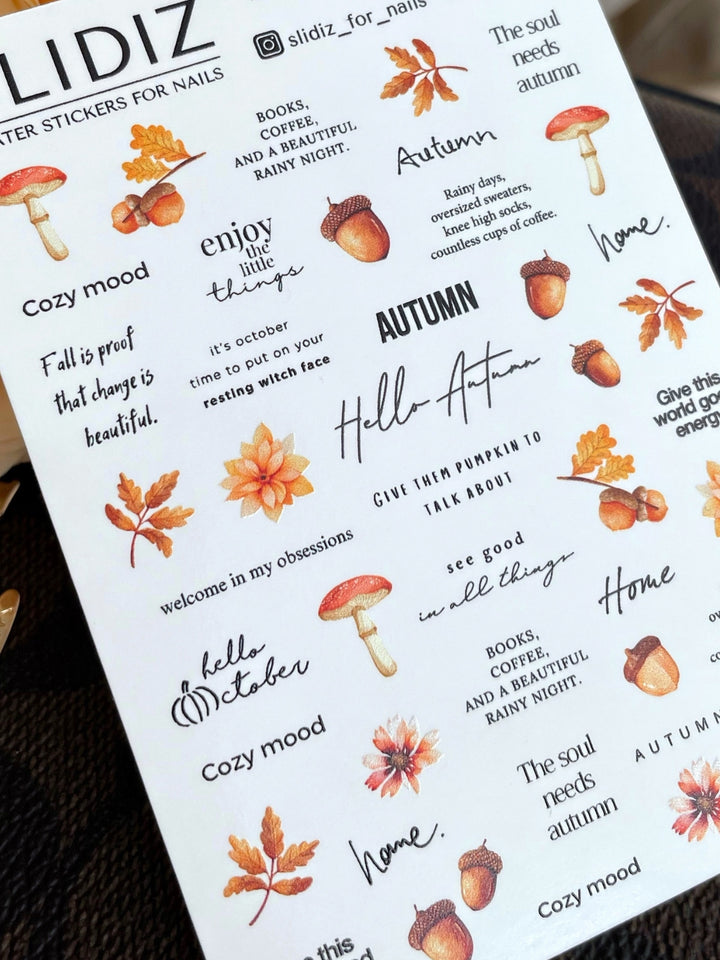 SLIDIZ WATER DECAL N°330