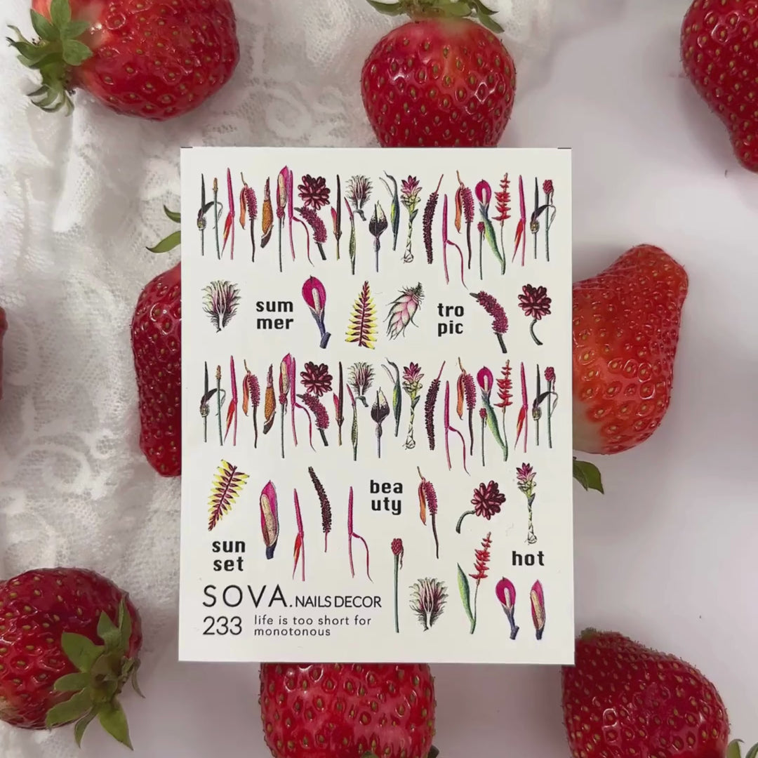 SOVA WATER STICKER N°244