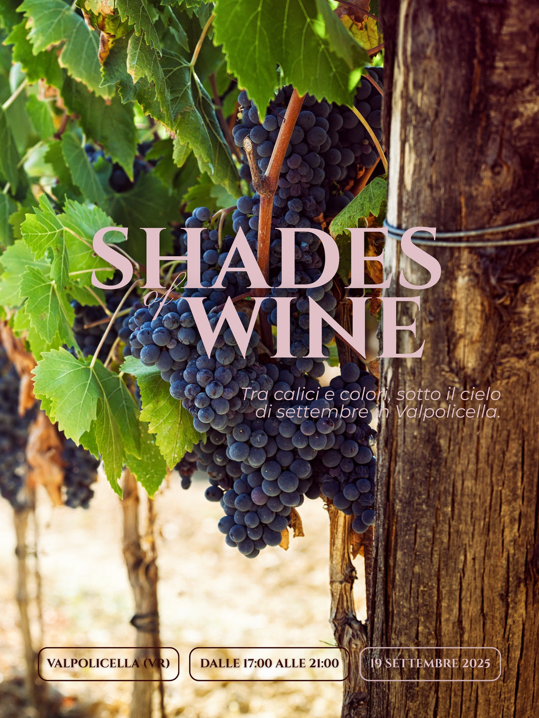 SHADES OF WINE - 19 SETTEMBRE 2025 - EVENTO