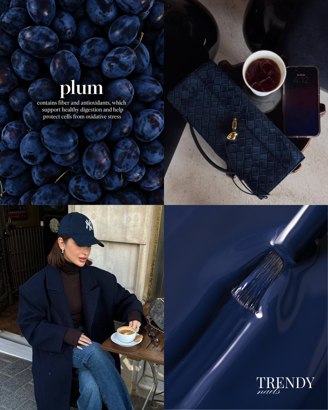 PLUM GEL POLISH TPO & HEMA FREE