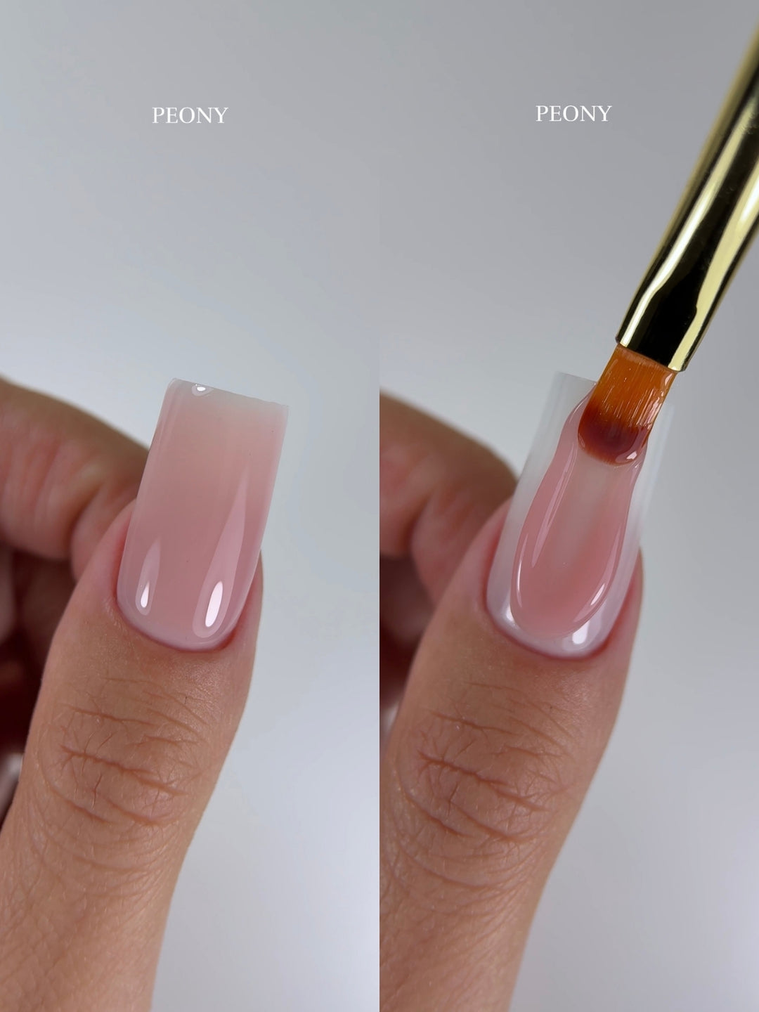 PEONY MODELING GEL TPO & HEMA FREE