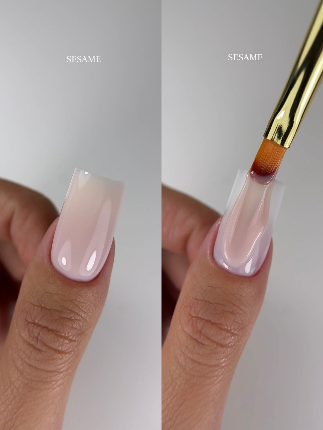 SESAME MODELING GEL TPO & HEMA FREE