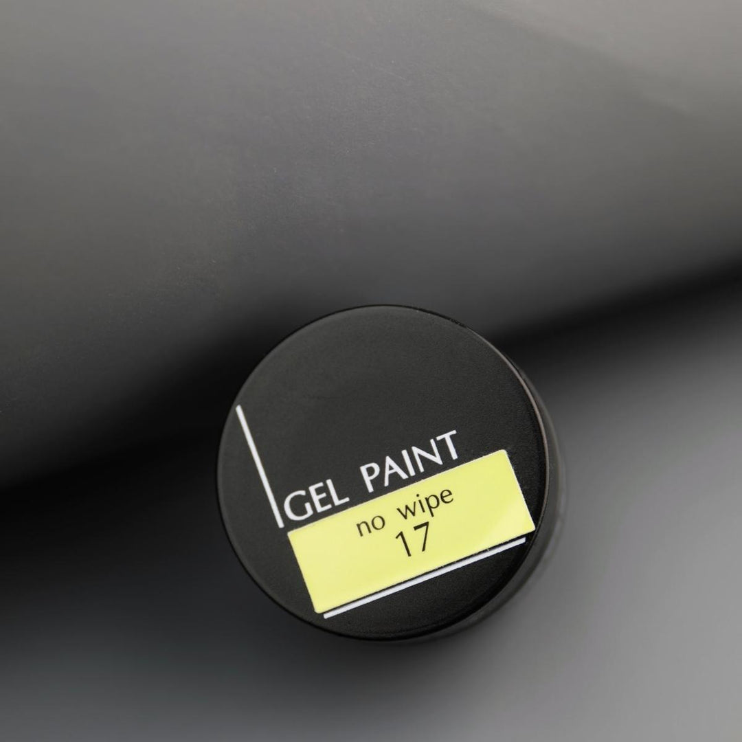 PAINT GEL NO WIPE N°17