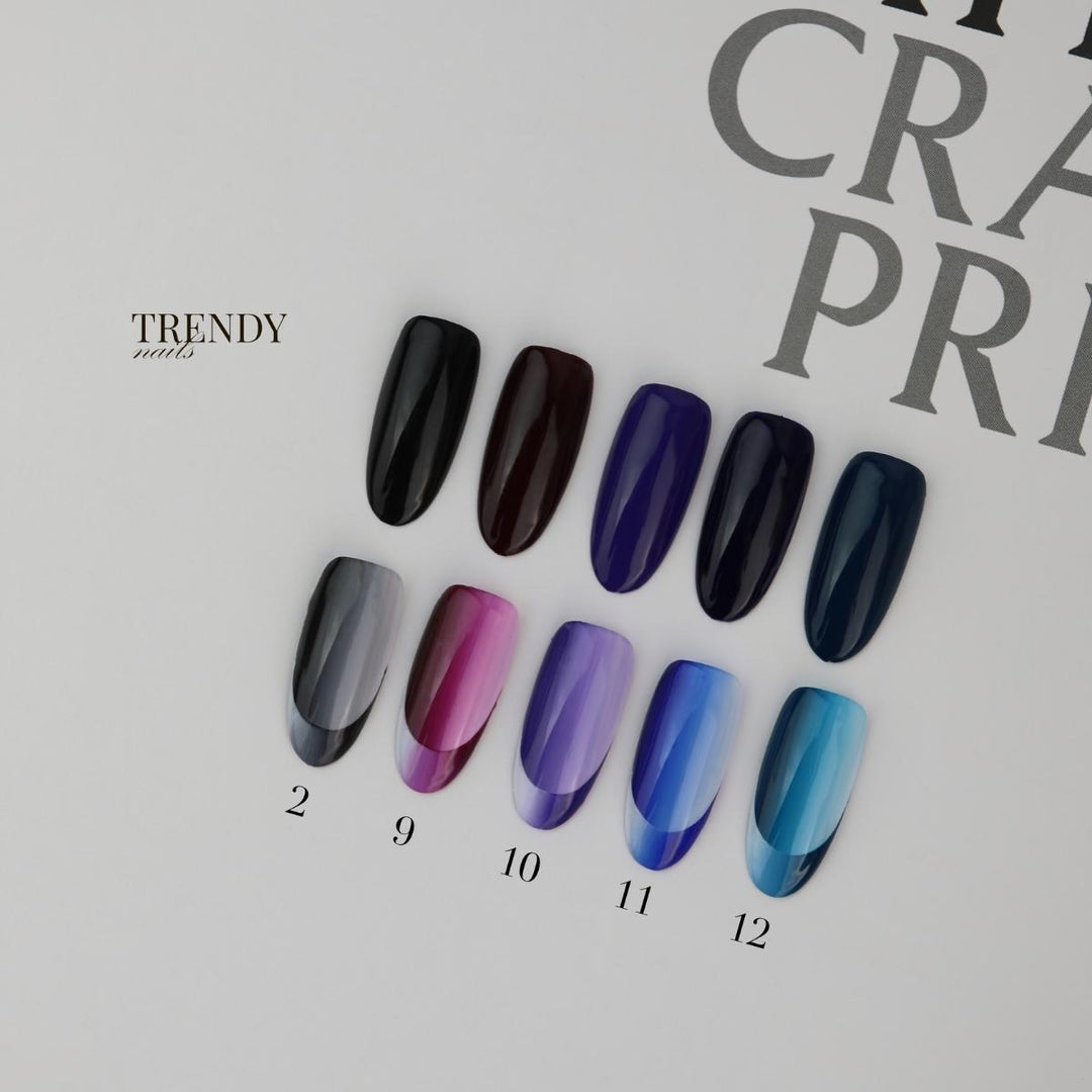 PAINT GEL NO WIPE N°11