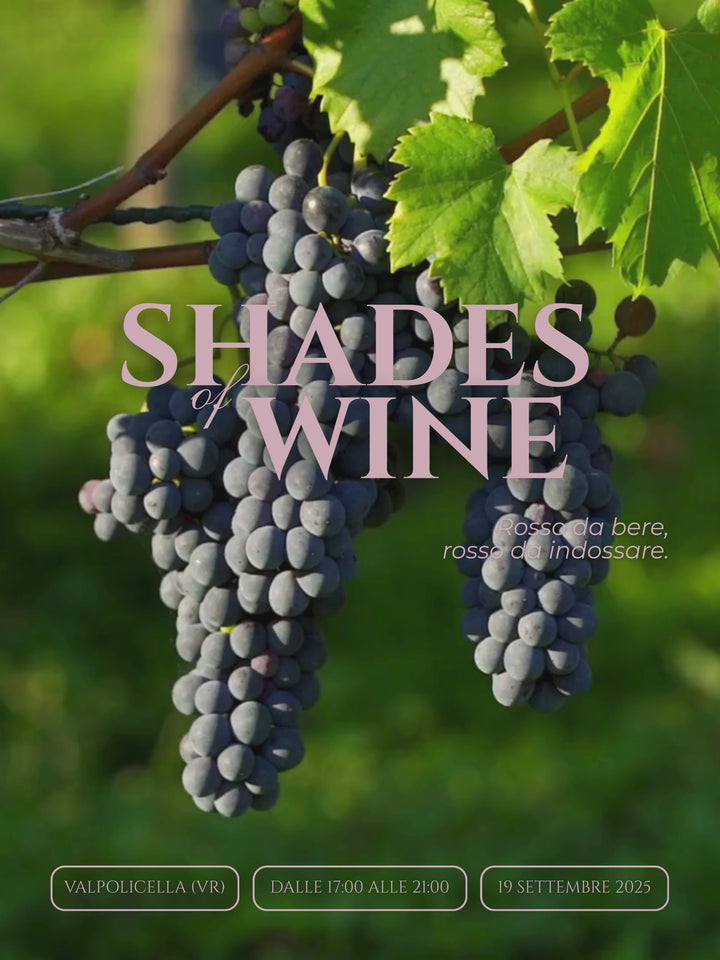 SHADES OF WINE - 19 SETTEMBRE 2025 - EVENTO