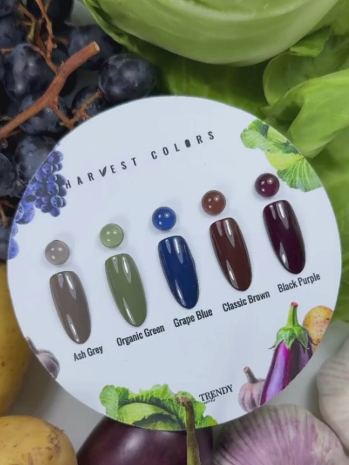 DUAL FORM COURSE FROM SALONE 17 AND 18 MAY 2025