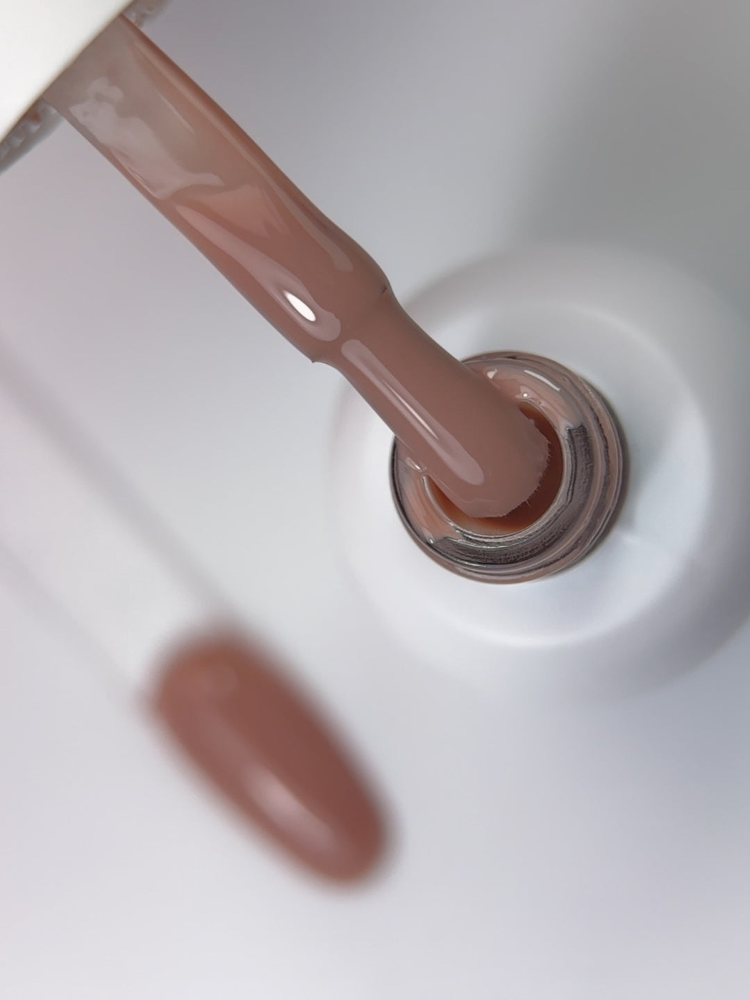 COCOA TOP HEMA & TPO  FREE
