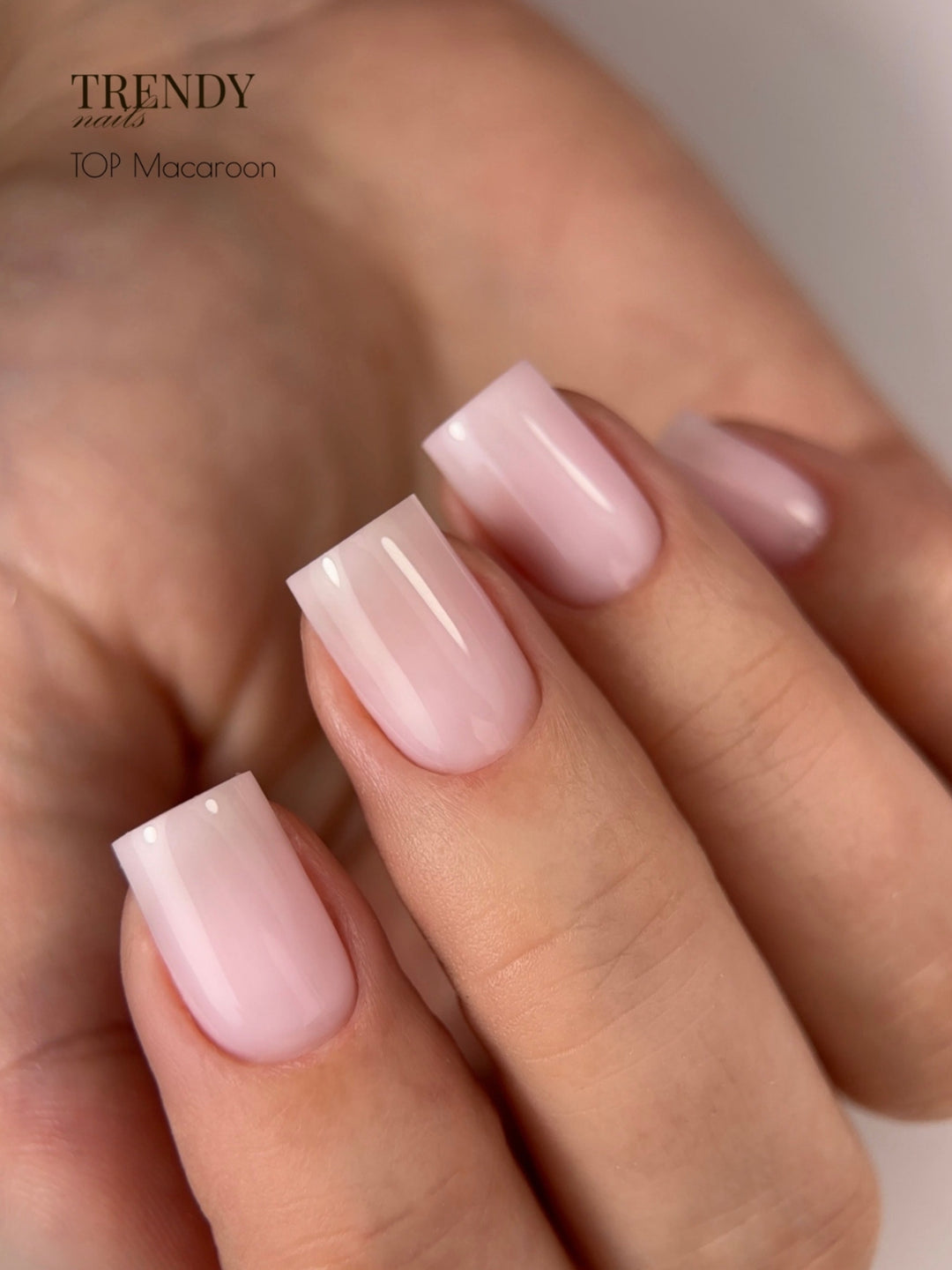 MACAROON TOP HEMA & TPO  FREE