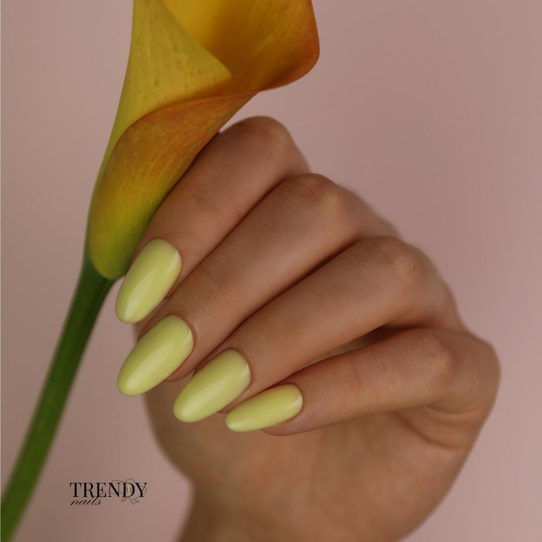 COLOR BASE N°034