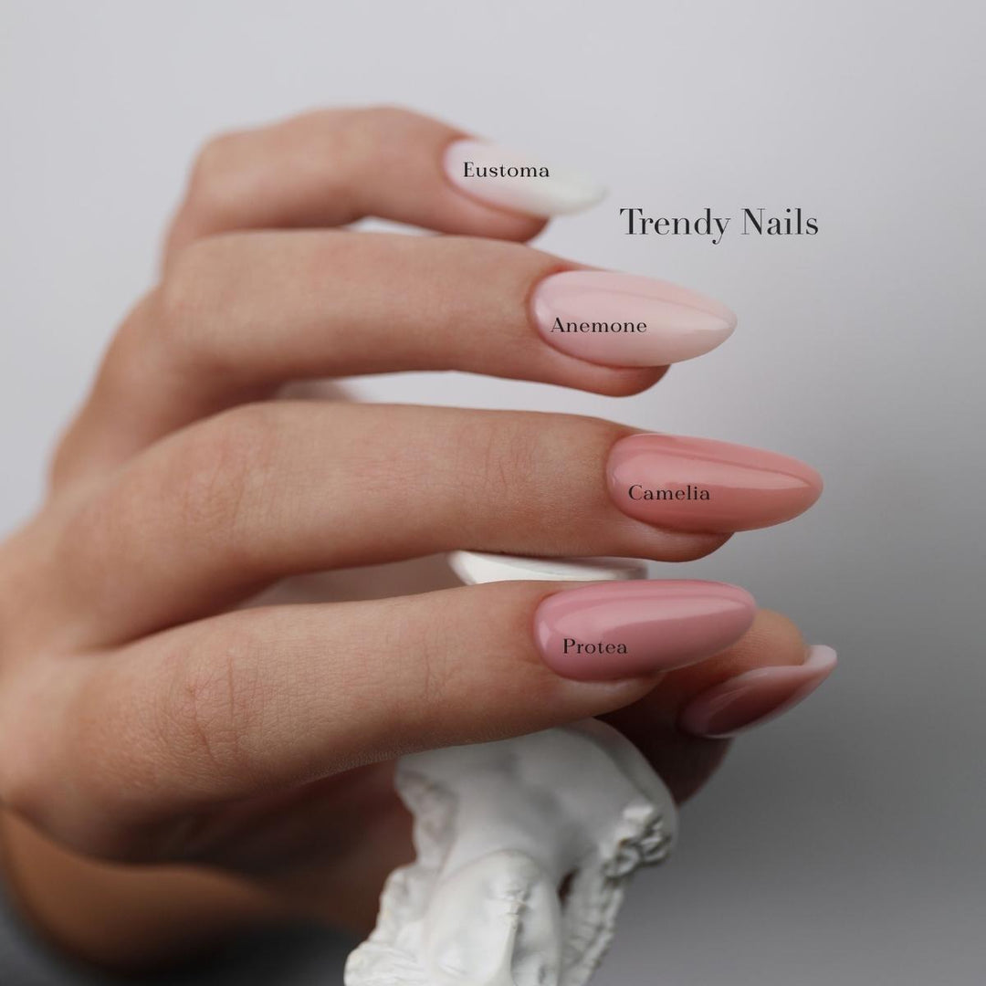 Fiber Base Eustoma Trendy Nails base semipermanente autmodellante con fibra di vetro per ricostruzione unghie senza limatura. Massima adesione sulle unghie. Contiene Calcio e Vitamina E.