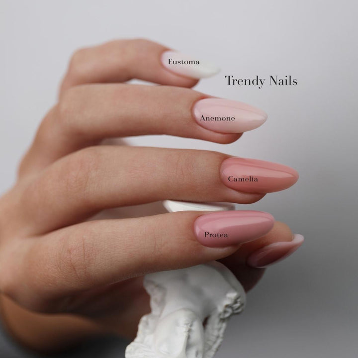 Fiber Base Eustoma Trendy Nails base semipermanente autmodellante con fibra di vetro per ricostruzione unghie senza limatura. Massima adesione sulle unghie. Contiene Calcio e Vitamina E.