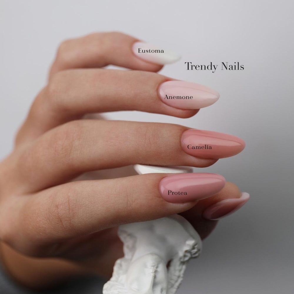 Fiber Base Anemone Trendy Nails base semipermanente autmodellante per ricostruzione unghie senza limatura. Massima adesione sulle unghie. Contiene Calcio e Vitamina E.