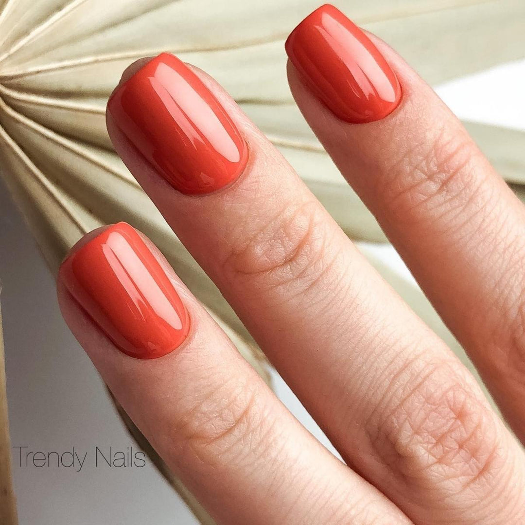 GEL POLISH N°060