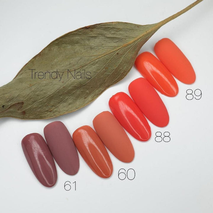 GEL POLISH N°060